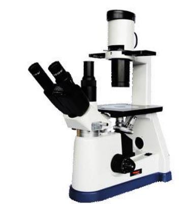 CIB-50 Inverted Tissue Culture With Phase Contrast Microscope