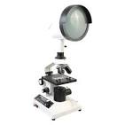 Projection Microscopes | Microscopes Manufacturer