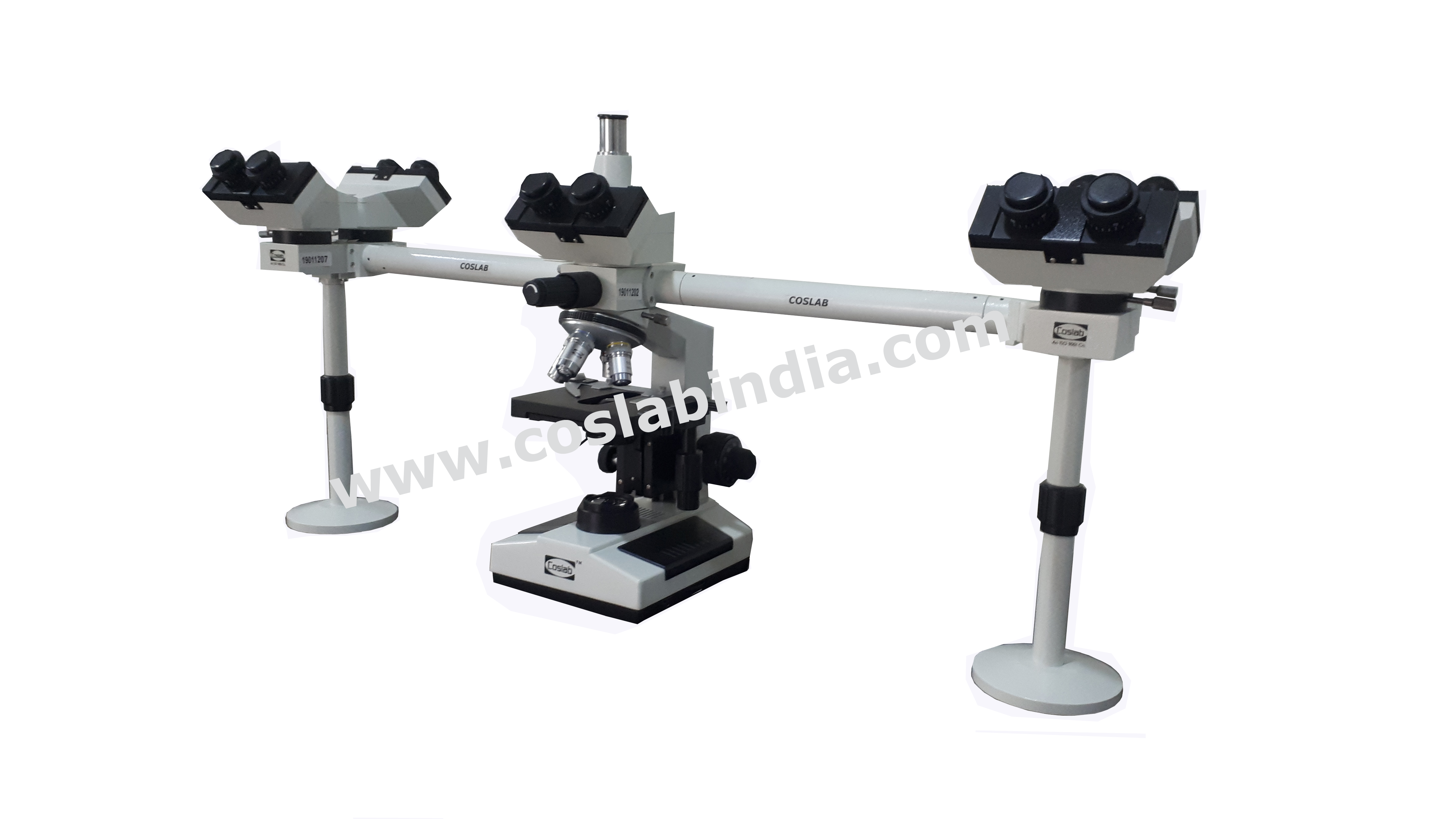 Multi Head Microscopes | Microscopes Manufacturer