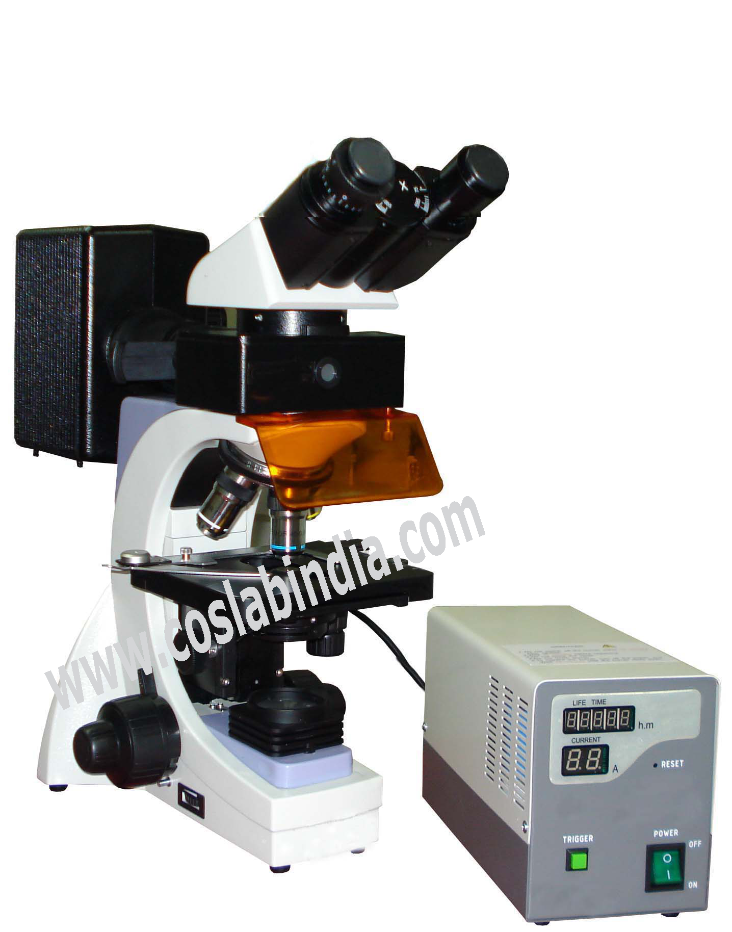 Indian Fluorescence Microscopes | Microscopes Manufacturer