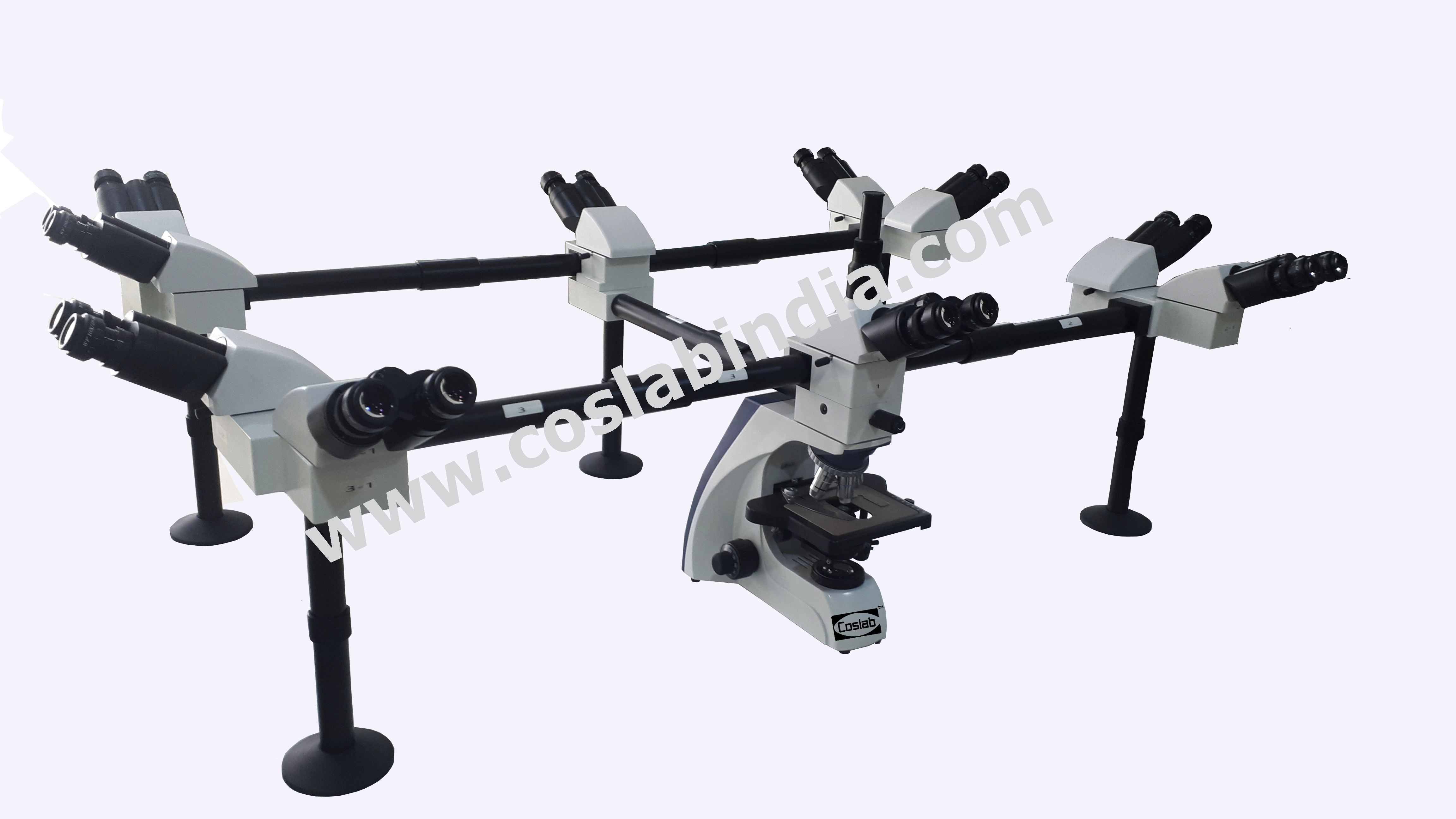 Deca Head Microscope | Microscopes Manufacturer