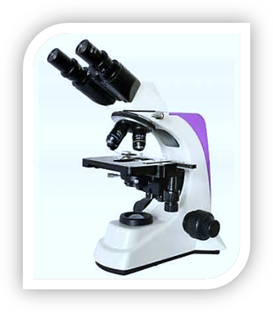 Binocular Microscope | Microscopes Manufacturer